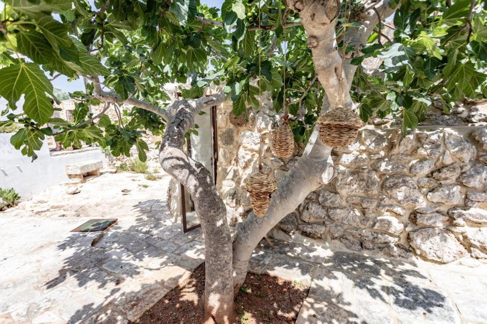 לינה וארוחת בוקר סנט'איזידורו Trullo Santovia מראה חיצוני תמונה