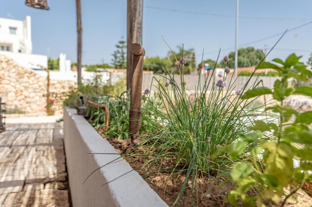 לינה וארוחת בוקר סנט'איזידורו Trullo Santovia מראה חיצוני תמונה